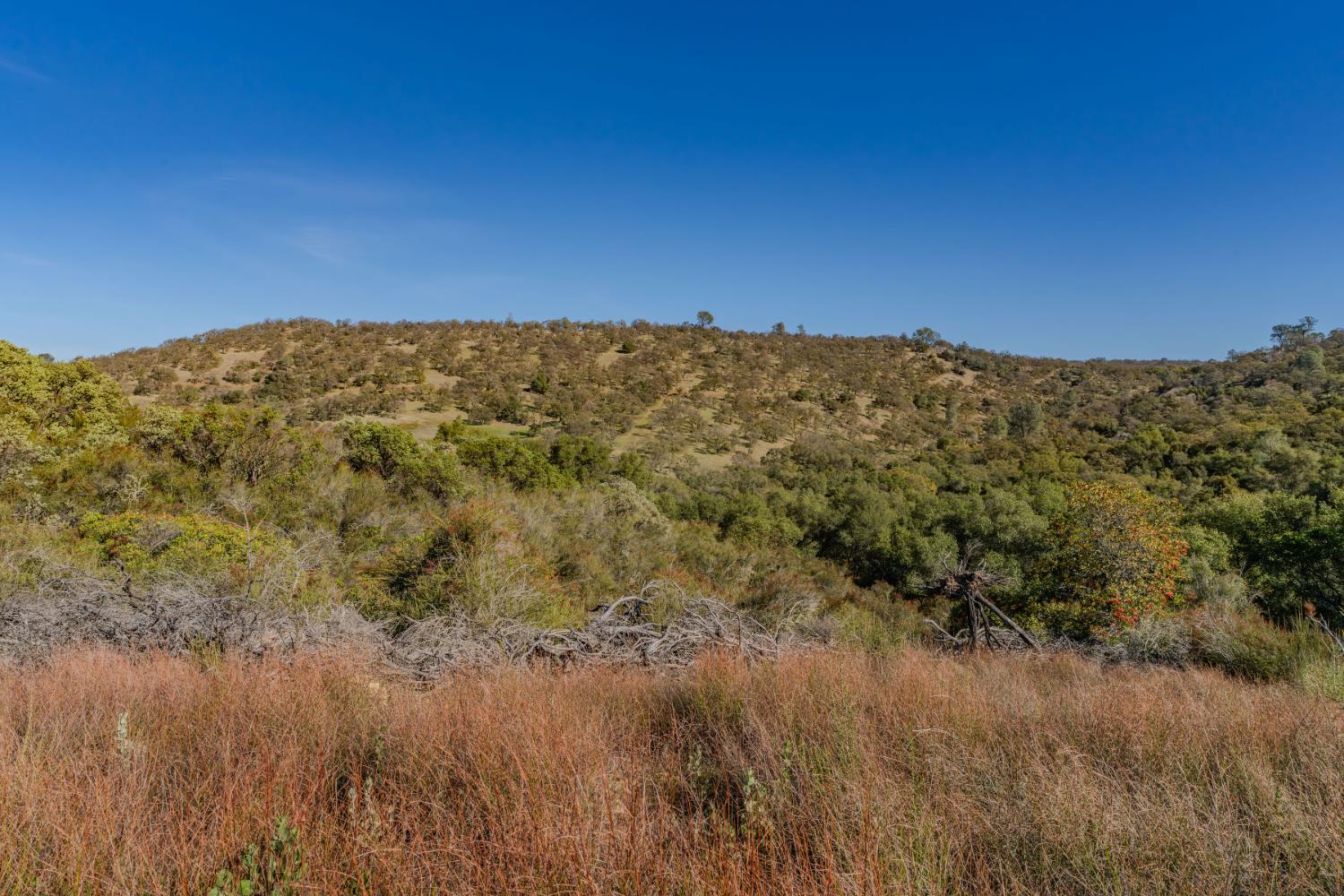 11151 Ridge Road Sutter Creek, CA 95685 - Photo 28 of 61