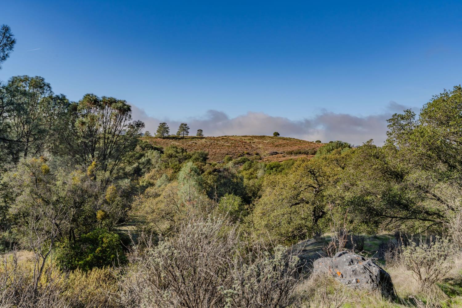 11151 Ridge Road Sutter Creek, CA 95685 - Photo 29 of 61 a view of a city
