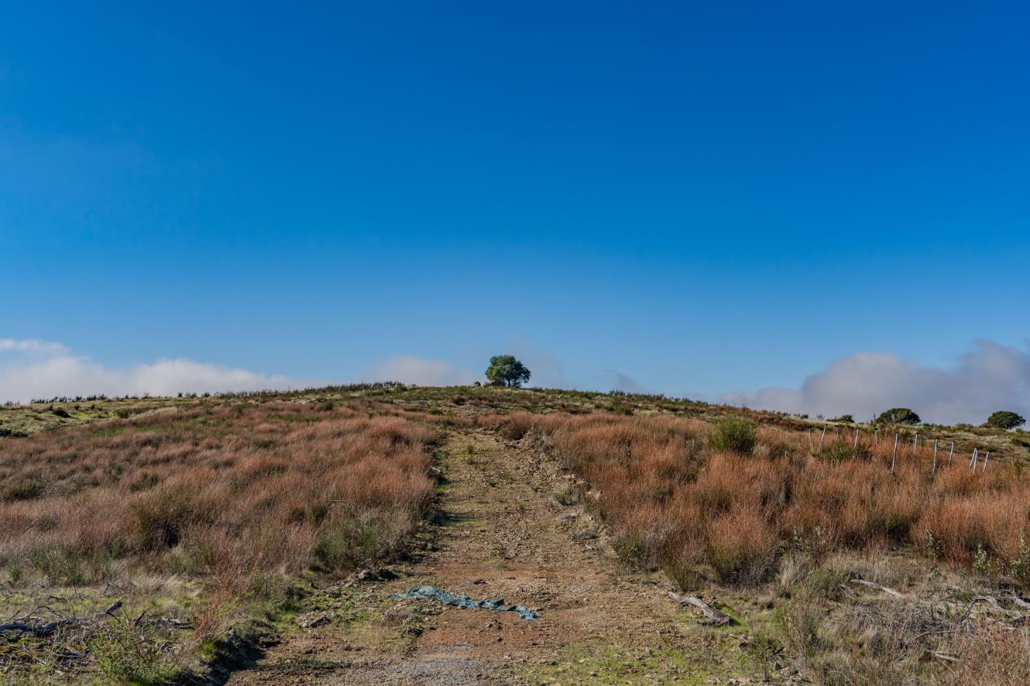 11151 Ridge Road Sutter Creek, CA 95685 - Photo 30 of 61