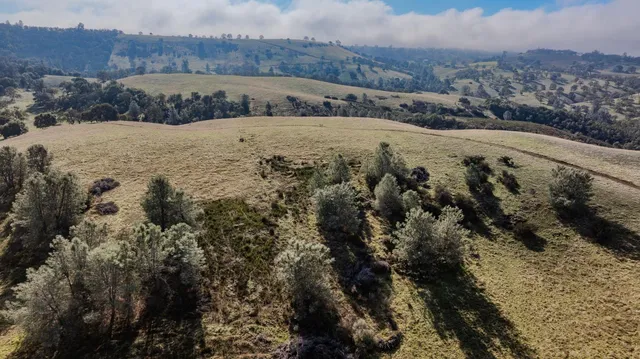 a view of a dry yard