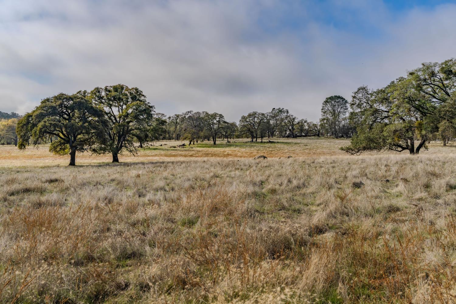 11151 Ridge Road Sutter Creek, CA 95685 - Photo 32 of 61 a view of dirt field with trees around