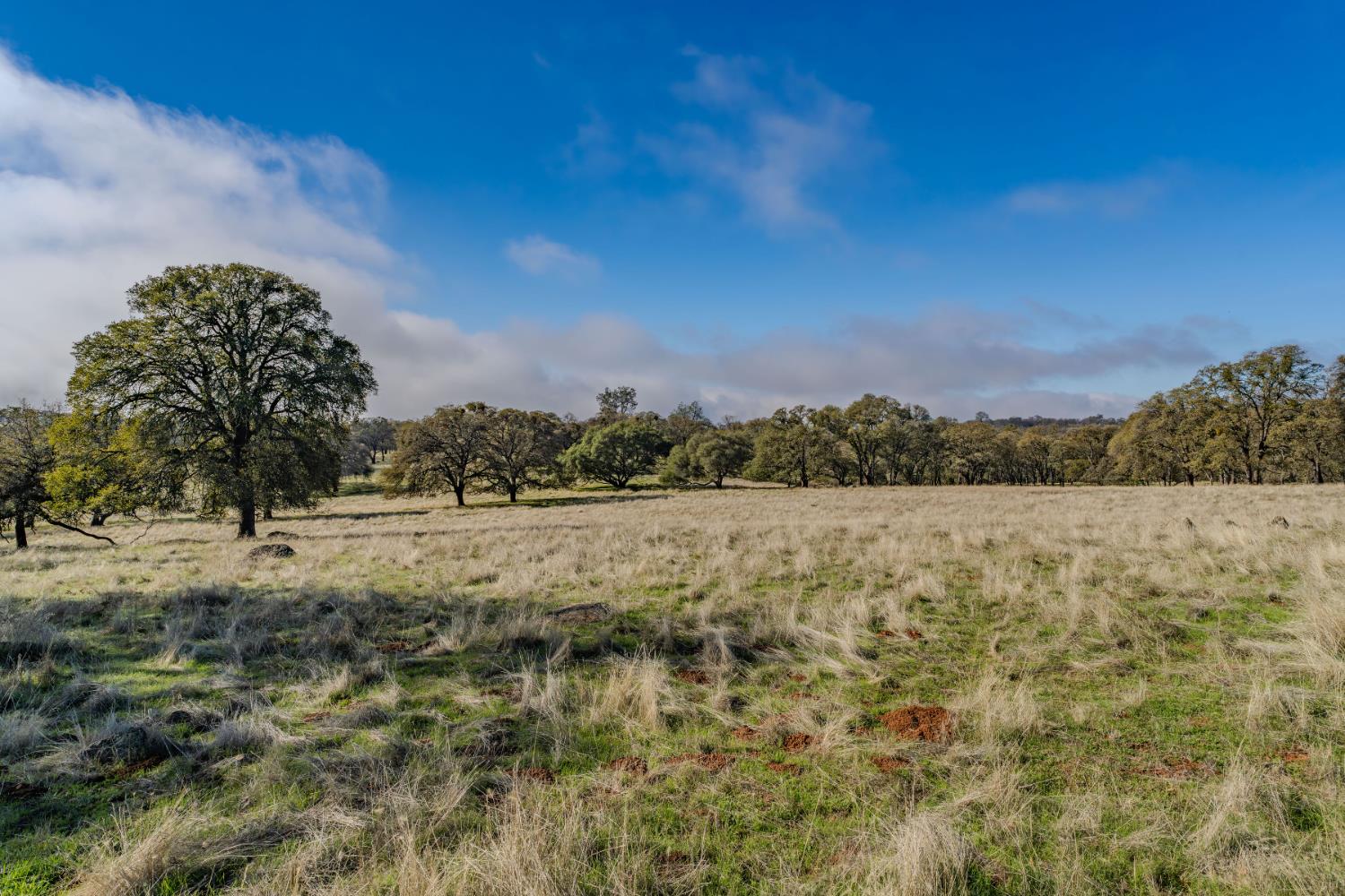 11151 Ridge Road Sutter Creek, CA 95685 - Photo 35 of 61 a view of lake and mountain