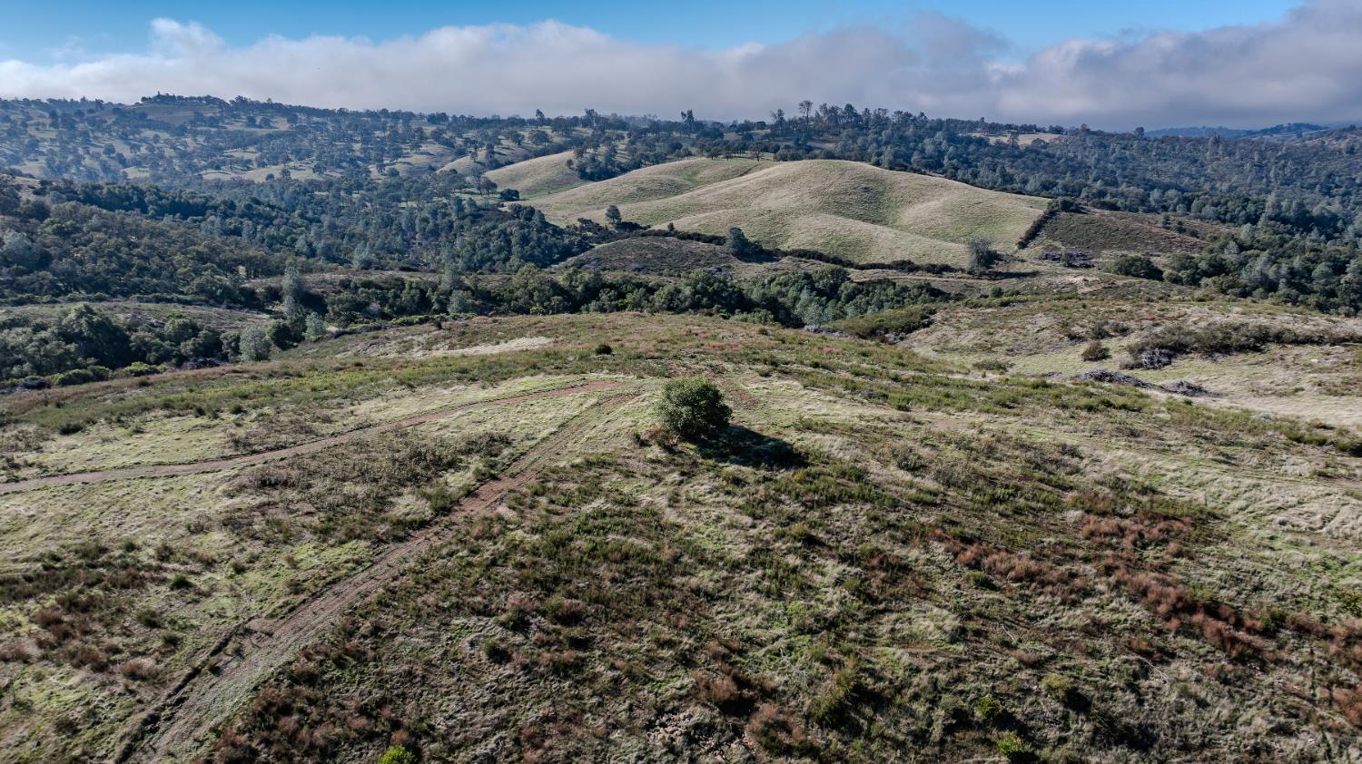 11151 Ridge Road Sutter Creek, CA 95685 - Photo 39 of 61 a backyard of a house with a yard and mountain view in back