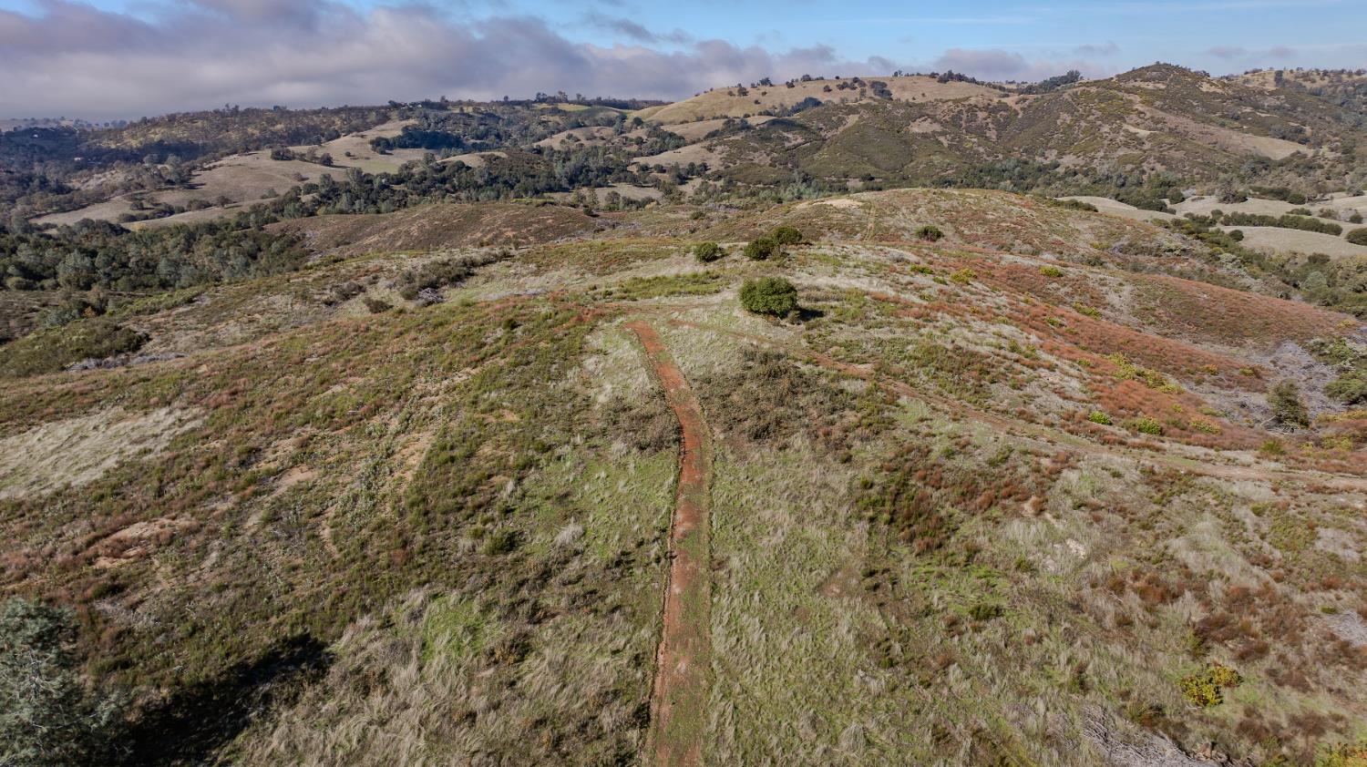 11151 Ridge Road Sutter Creek, CA 95685 - Photo 40 of 61 a view of a yard