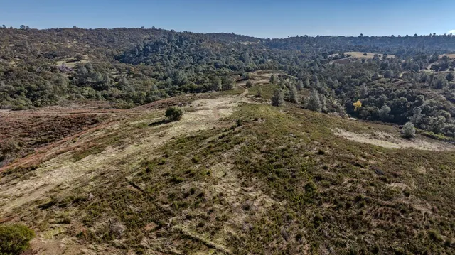 a view of dirt field and trees