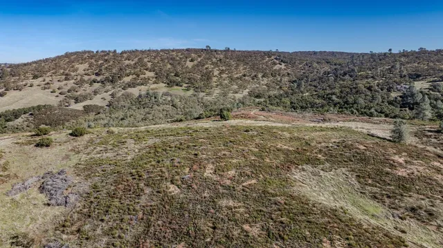 a view of yard with swimming pool and trees in the background