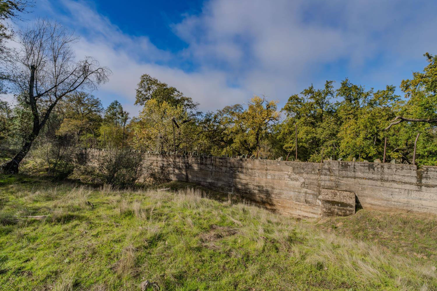11151 Ridge Road Sutter Creek, CA 95685 - Photo 43 of 61 a view of a yard