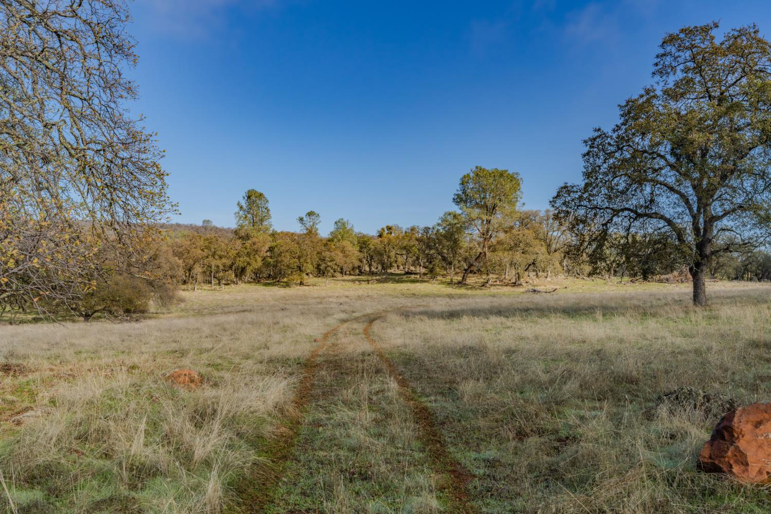 11151 Ridge Road Sutter Creek, CA 95685 - Photo 48 of 61 a view of mountain view with large trees
