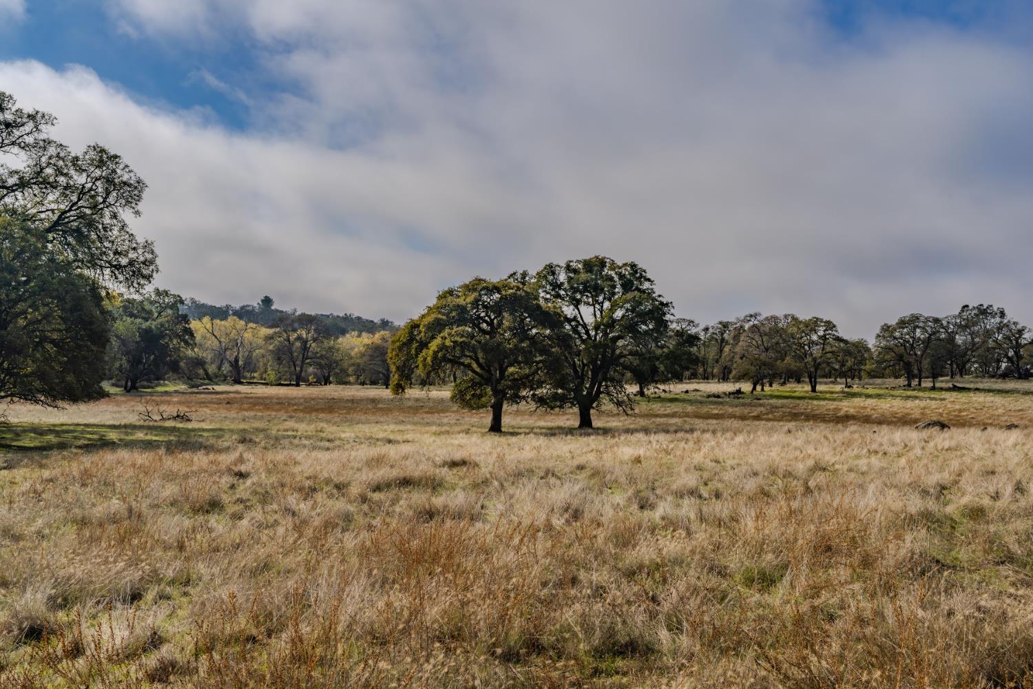 11151 Ridge Road Sutter Creek, CA 95685 - Photo 49 of 61 a view of dirt field and trees