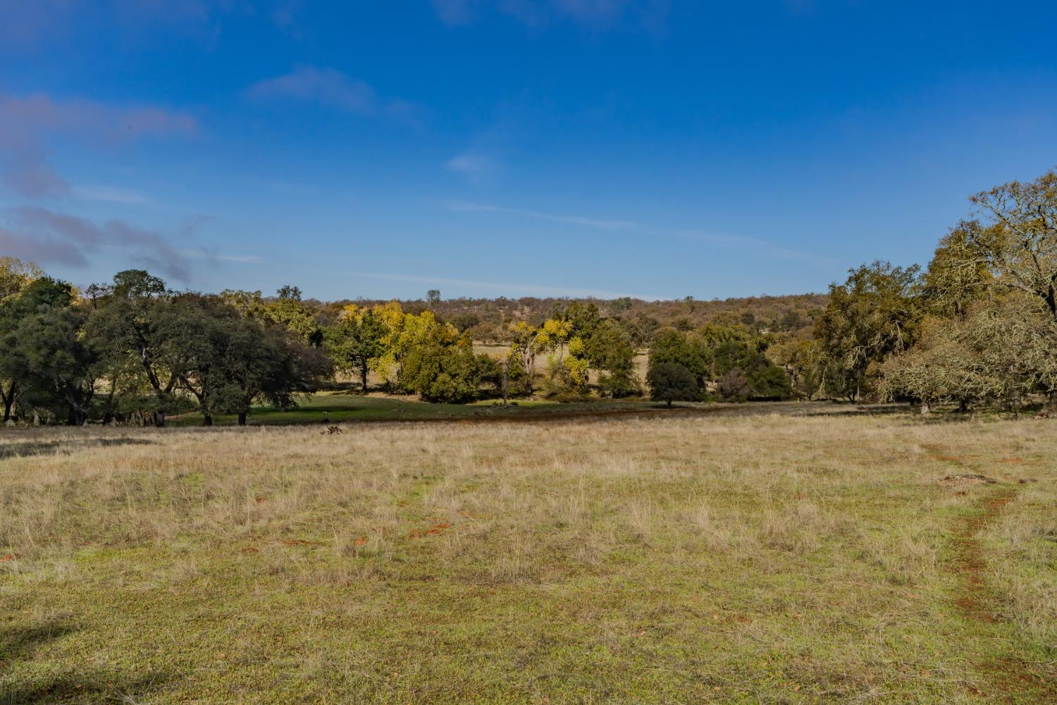 11151 Ridge Road Sutter Creek, CA 95685 - Photo 50 of 61 a view of yard with swimming pool and trees in the background