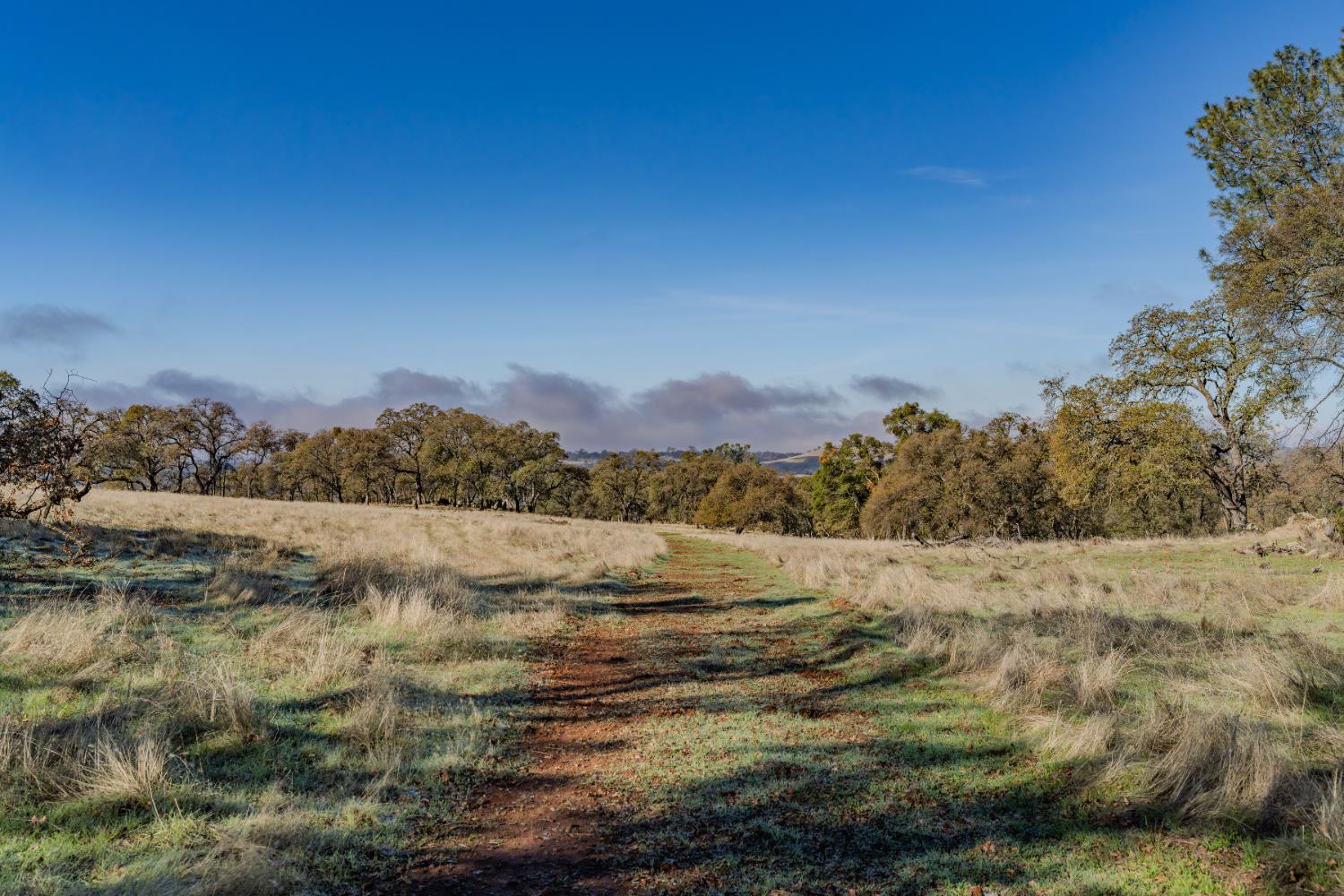 11151 Ridge Road Sutter Creek, CA 95685 - Photo 6 of 61 a view of an outdoor space and a yard