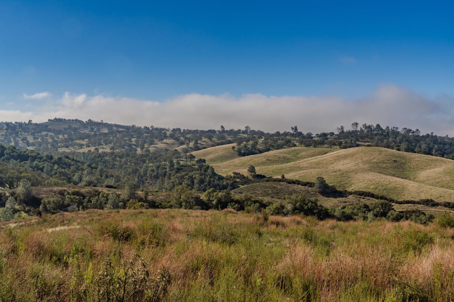 11151 Ridge Road Sutter Creek, CA 95685 - Photo 7 of 61 a view of a sky from a yard