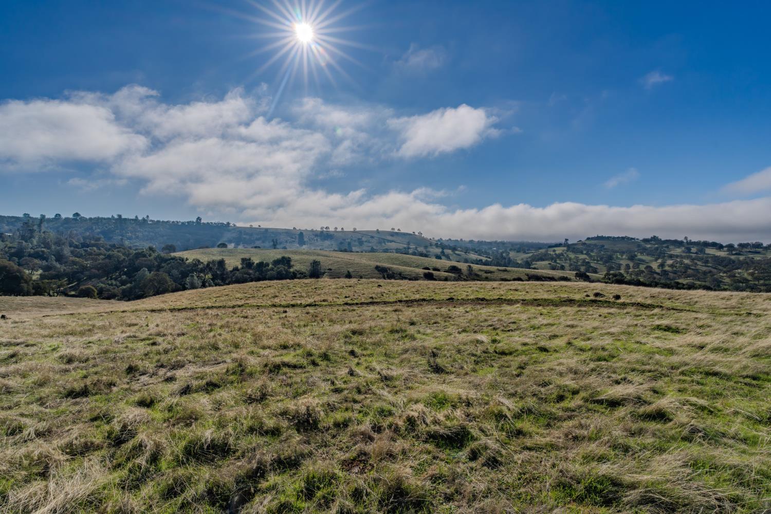 11151 Ridge Road Sutter Creek, CA 95685 - Photo 8 of 61 a view of lake view and mountain