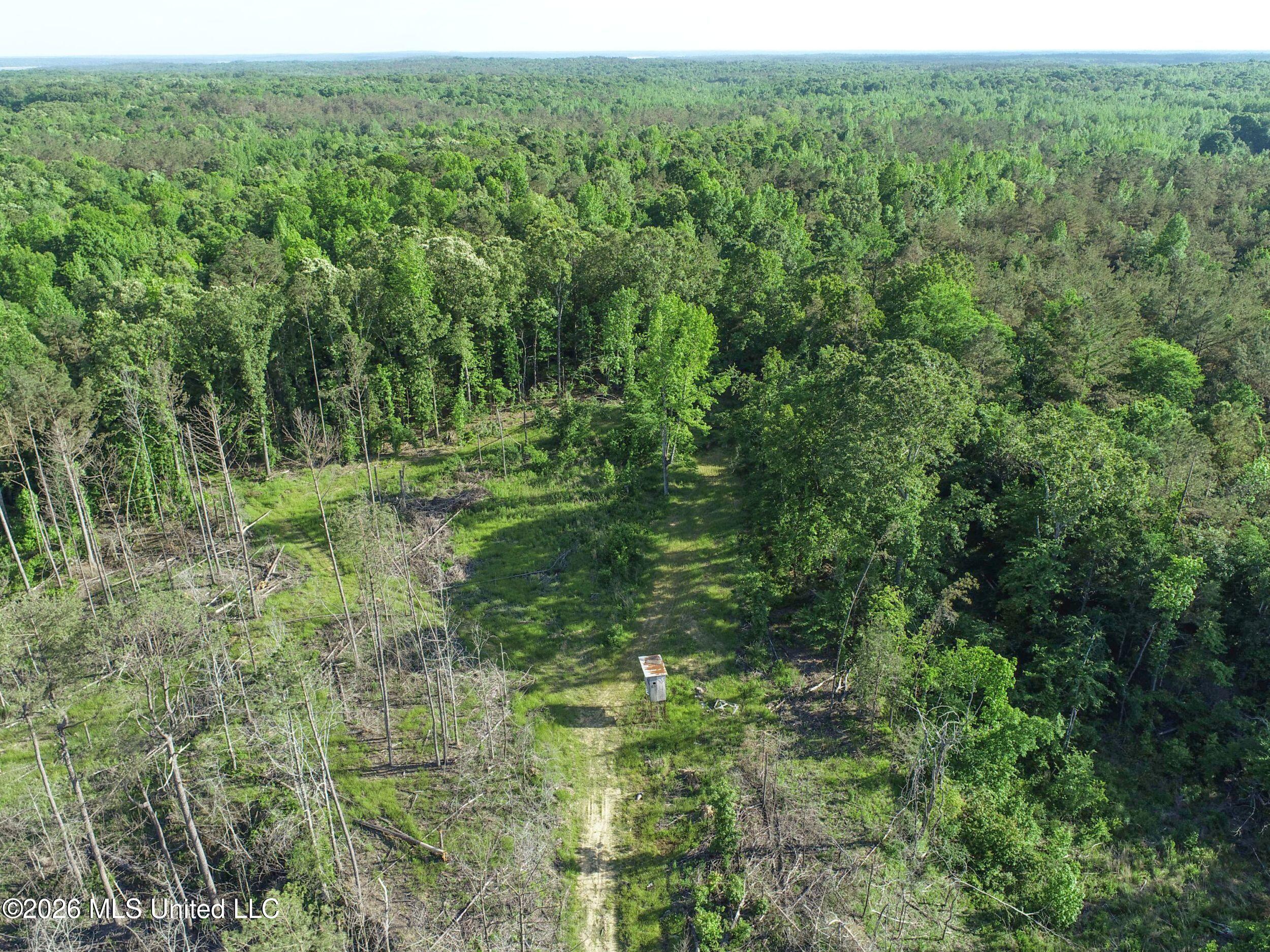 Wayne Massie Road Como, MS 38619 - Photo 36 of 184 3ctwmrd21