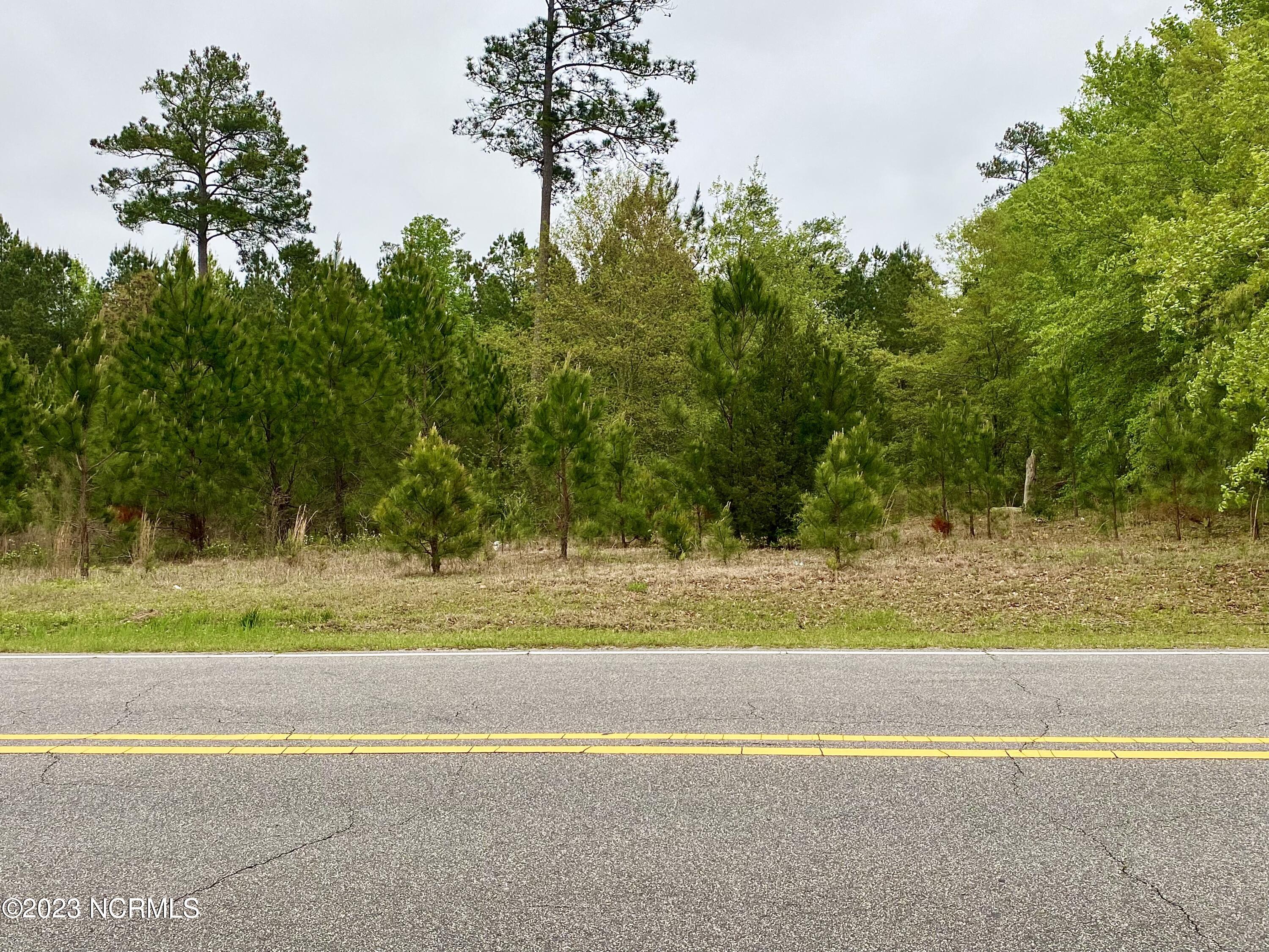 280 Northam Road Rockingham, NC 28379 - Photo 1 of 1 View from Northam Rd.