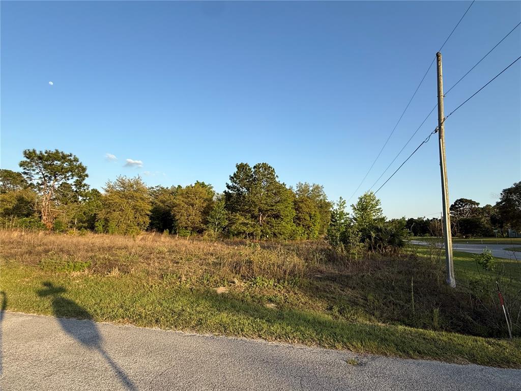 1 Southwest 65th Loop Dunnellon, FL 34432 - Photo 1 of 1 Gallery Image 1