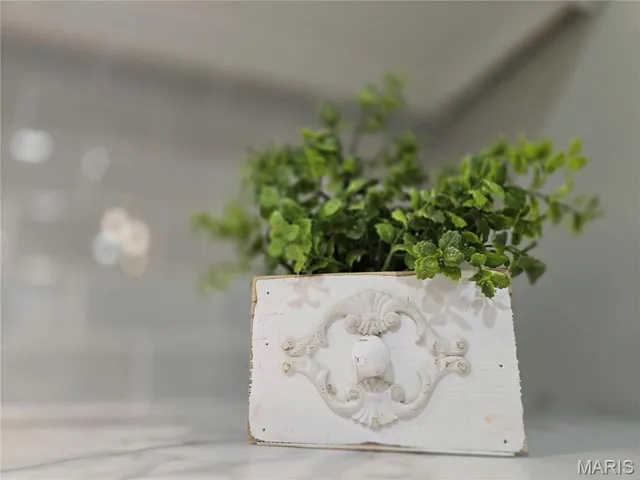 $155,000 | 1003 West St Francis Street, Dexter, MO 63841