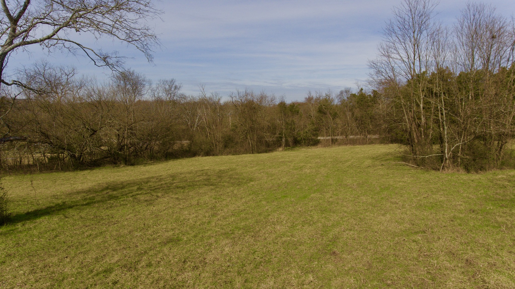 0 Webb Road Bell Buckle, TN 37020 - Photo 4 of 9