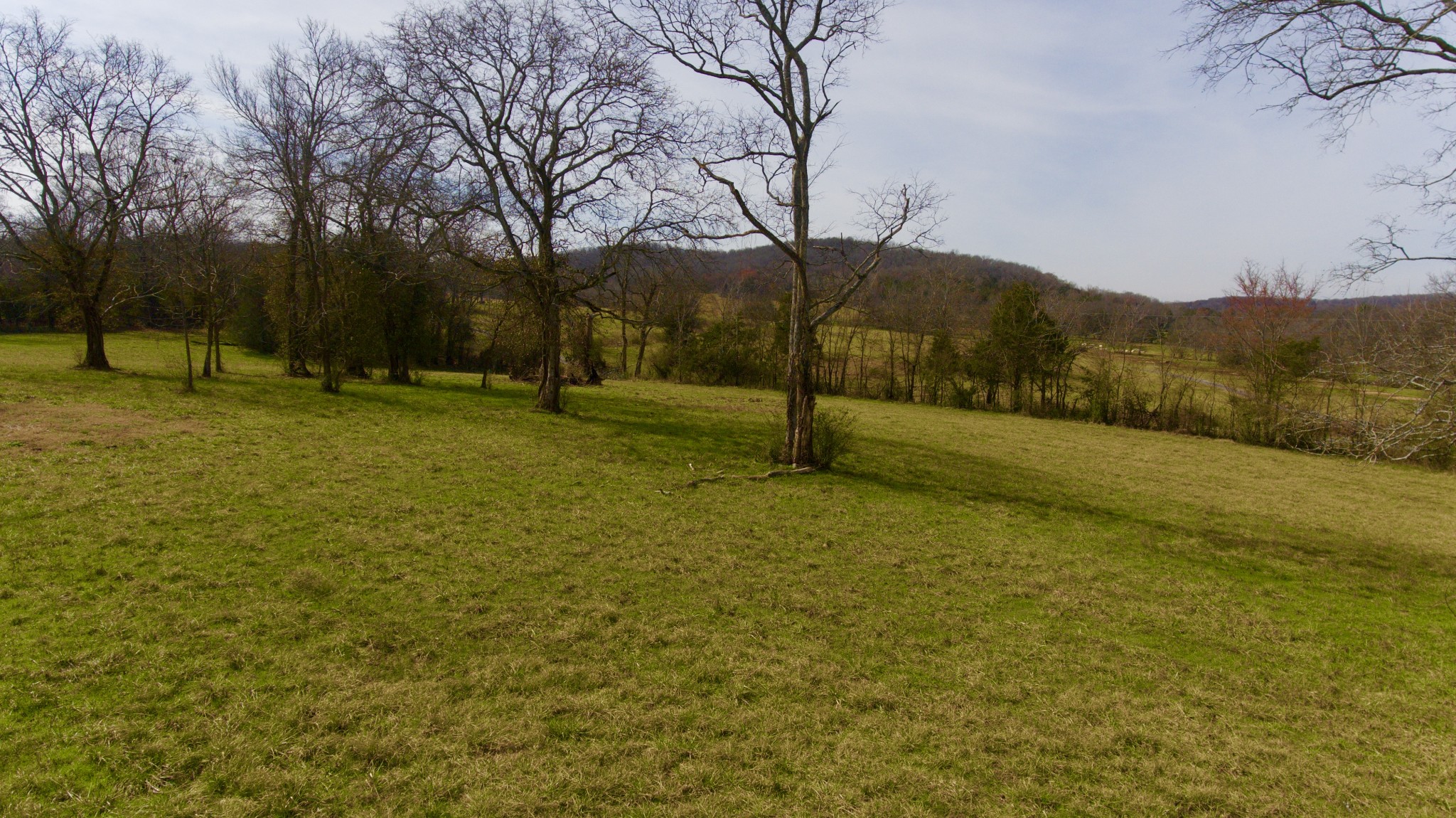 0 Webb Road Bell Buckle, TN 37020 - Photo 5 of 9