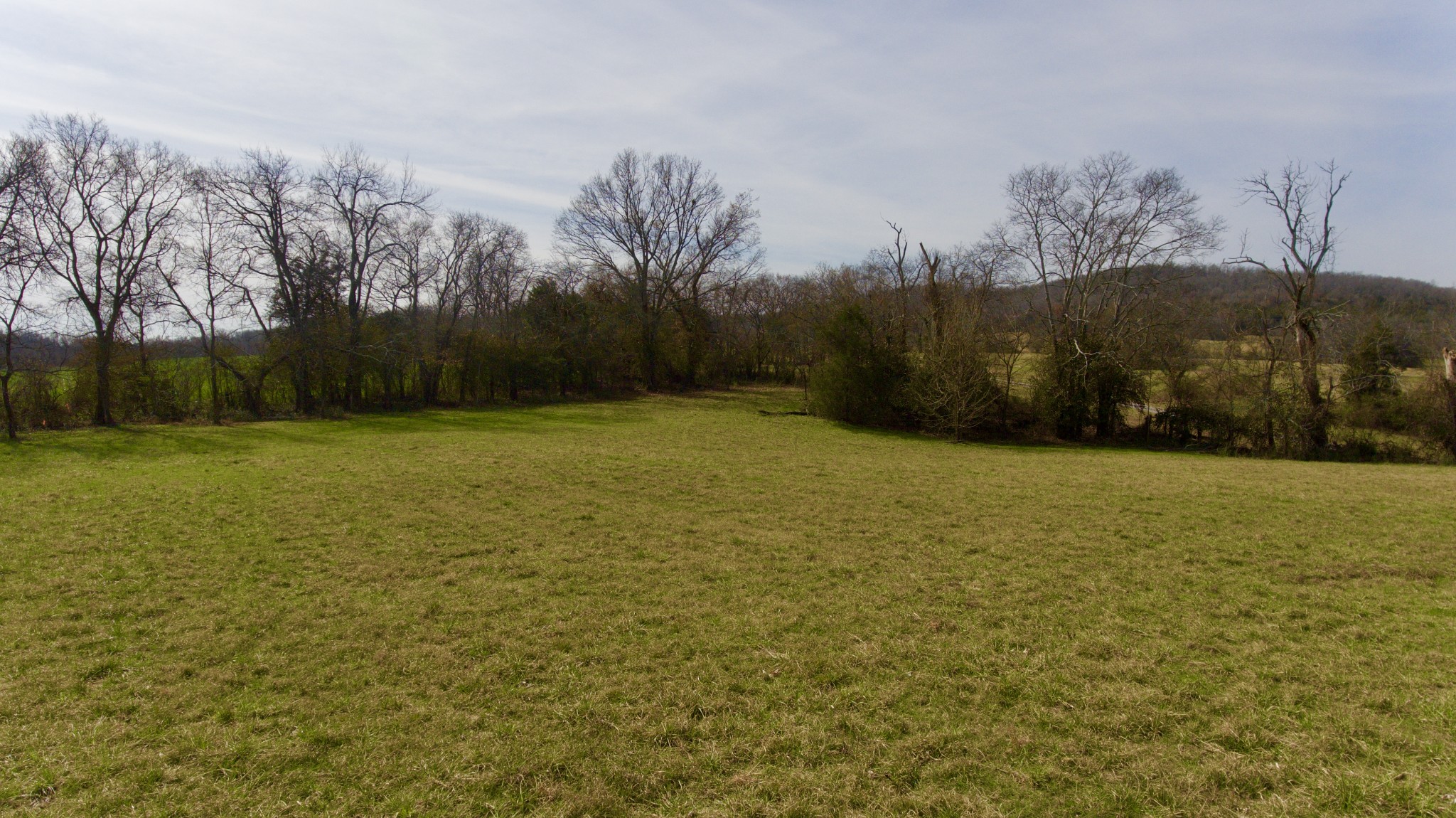 0 Webb Road Bell Buckle, TN 37020 - Photo 6 of 9