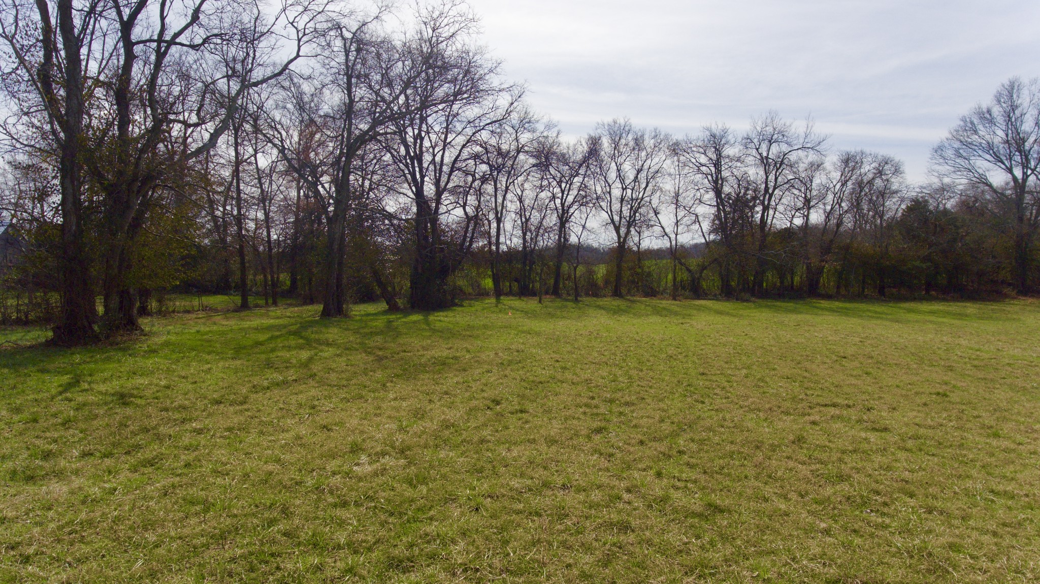 0 Webb Road Bell Buckle, TN 37020 - Photo 7 of 9