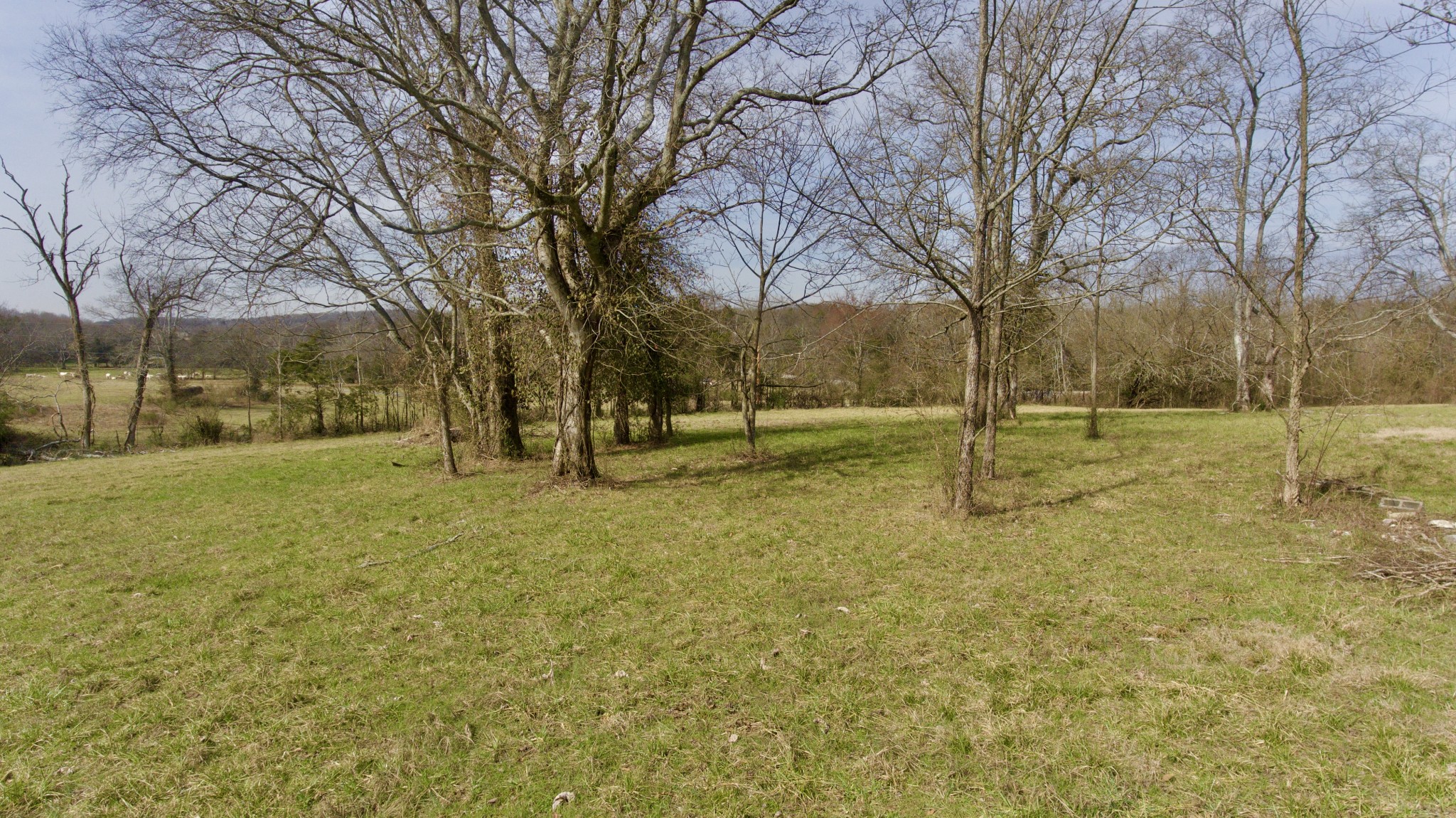 0 Webb Road Bell Buckle, TN 37020 - Photo 8 of 9