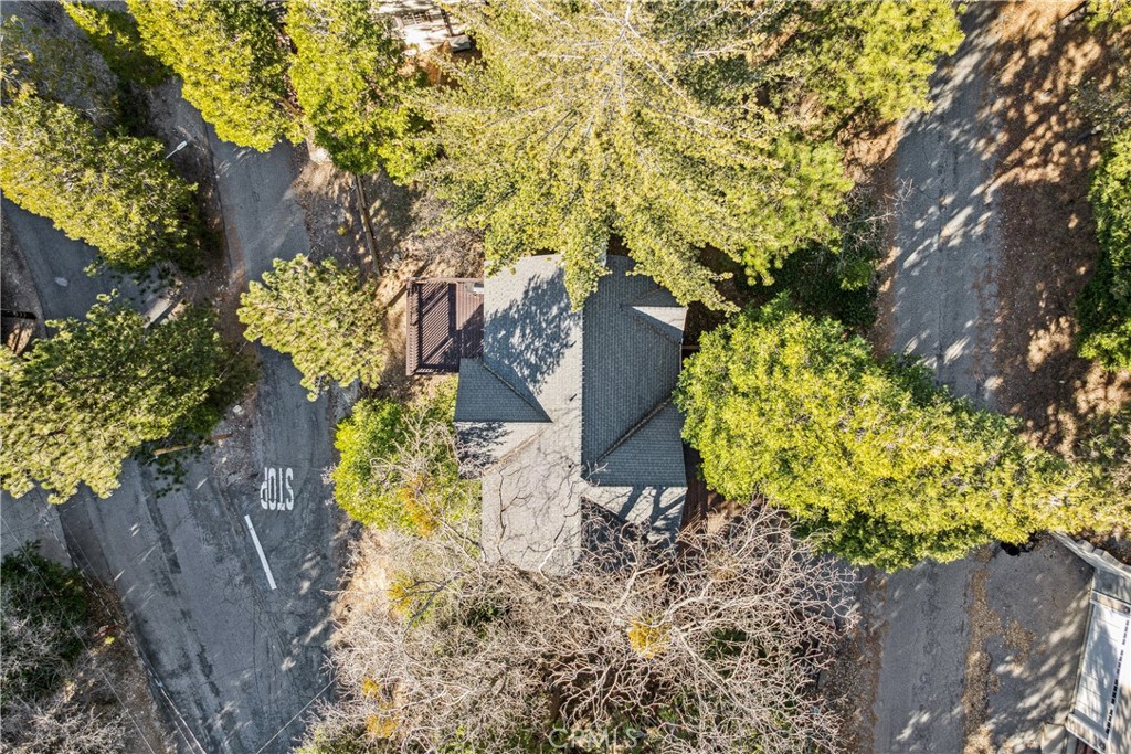 305 Summit Road Lake Arrowhead, CA 92352 - Photo 45 of 47