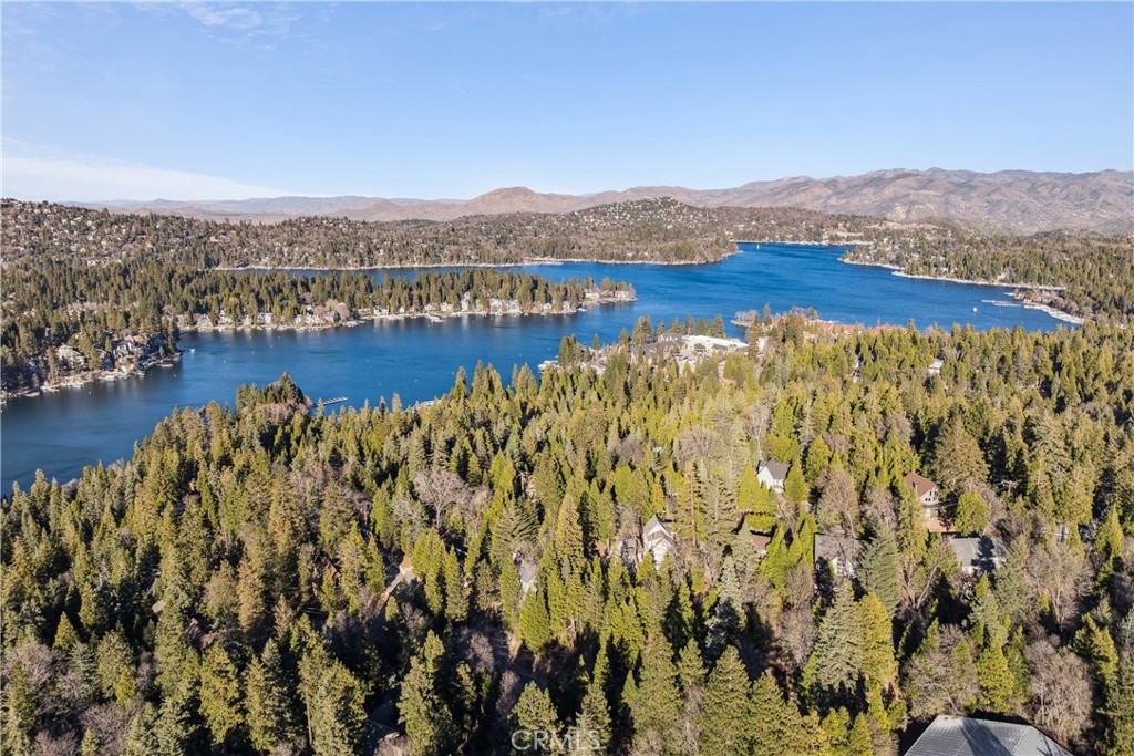 305 Summit Road Lake Arrowhead, CA 92352 - Photo 46 of 47