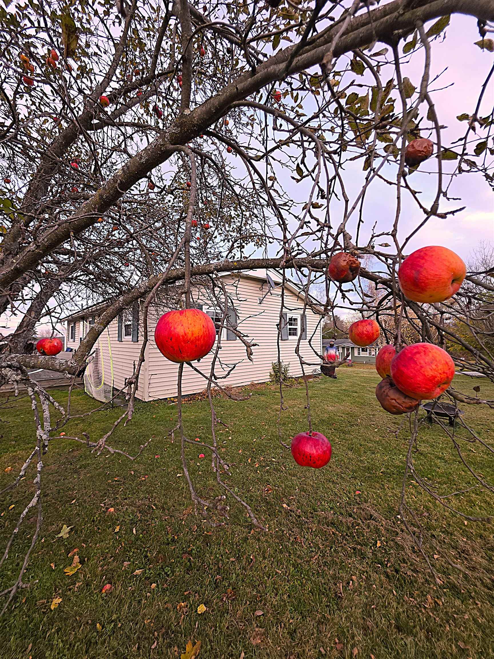 7 Westwood Parkway Barre, VT 05641 - Photo 4 of 33