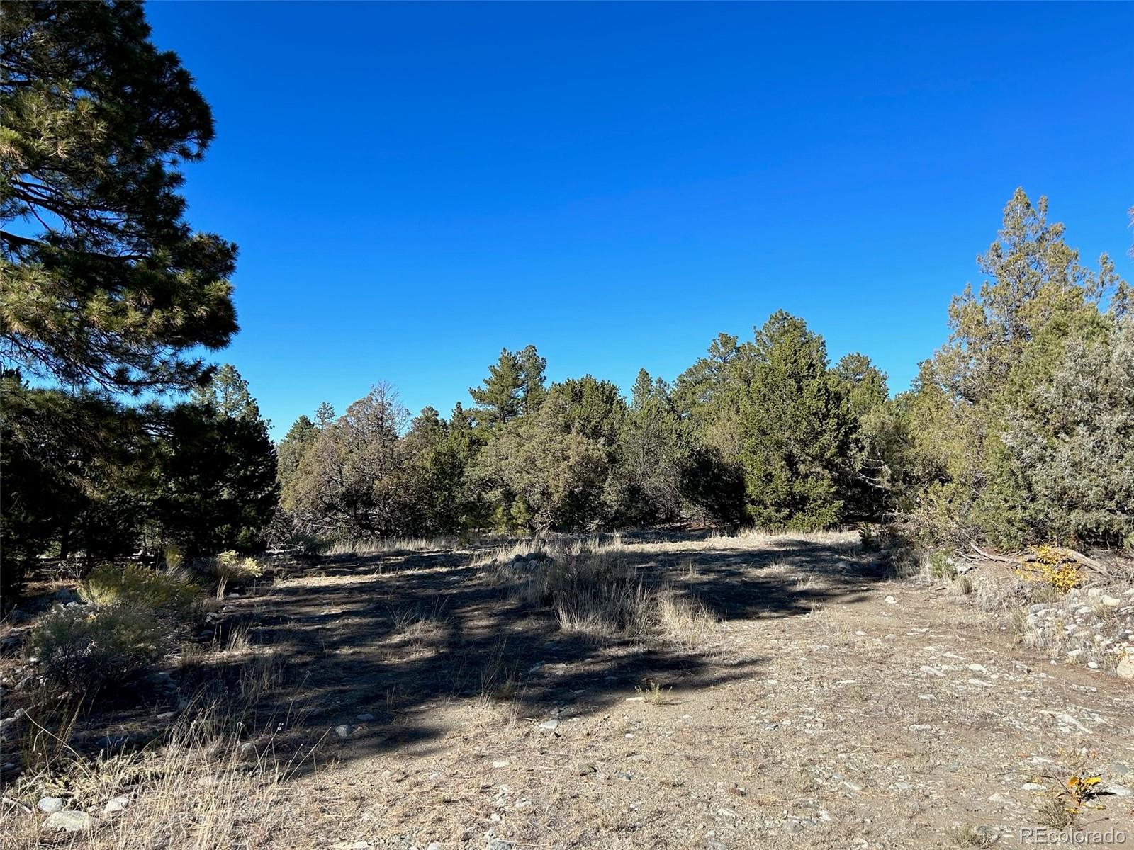 25 Pioneer Road Mosca, CO 81146 - Photo 2 of 9