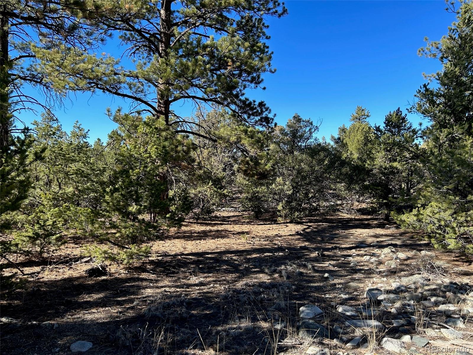25 Pioneer Road Mosca, CO 81146 - Photo 3 of 9 a view of outdoor space with trees all around