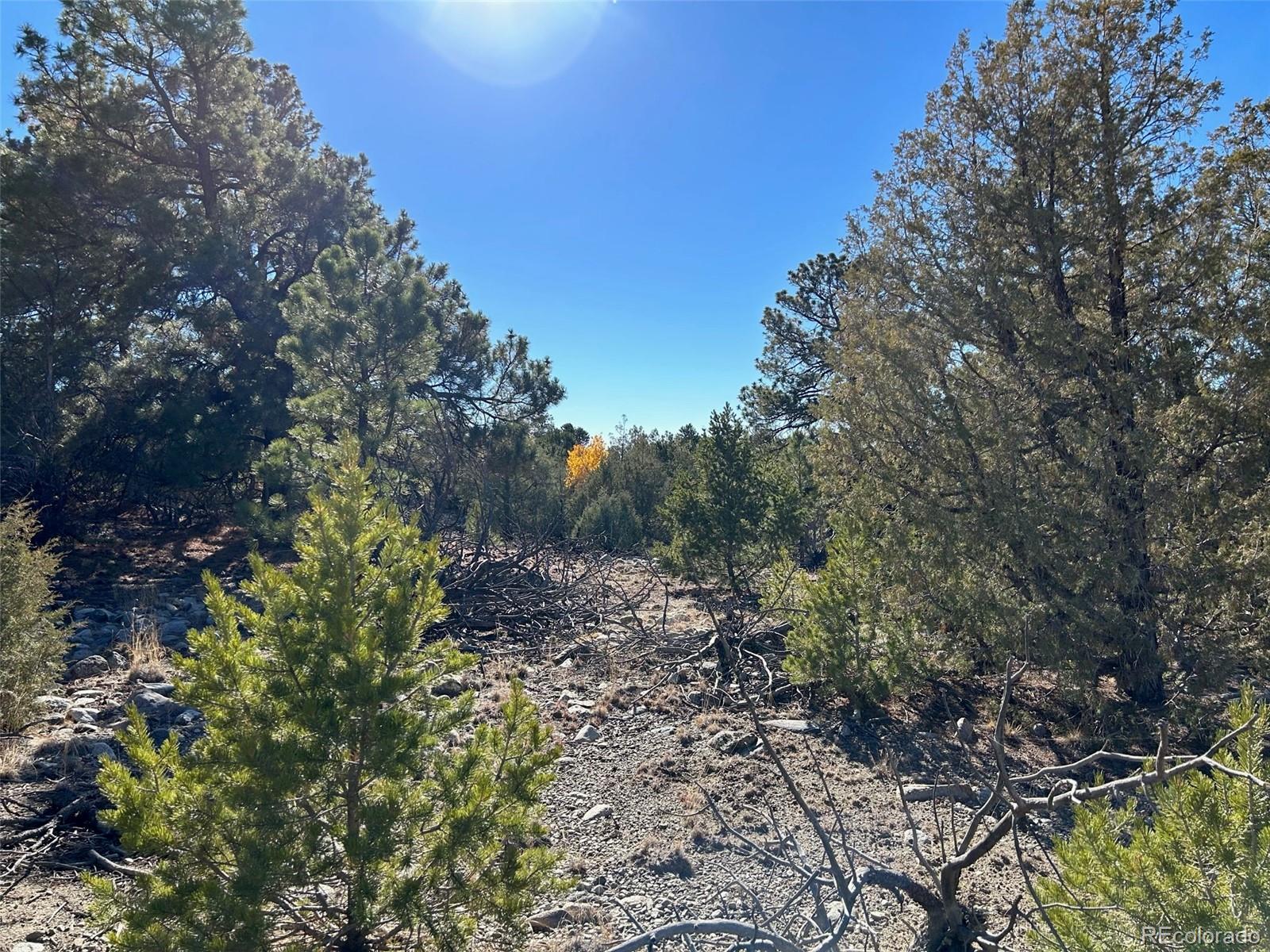 25 Pioneer Road Mosca, CO 81146 - Photo 5 of 9 a big yard with lots of green space