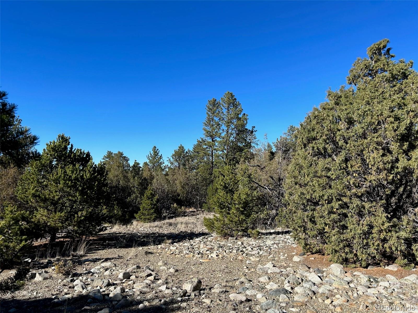 25 Pioneer Road Mosca, CO 81146 - Photo 6 of 9 a view of a yard with plants and trees