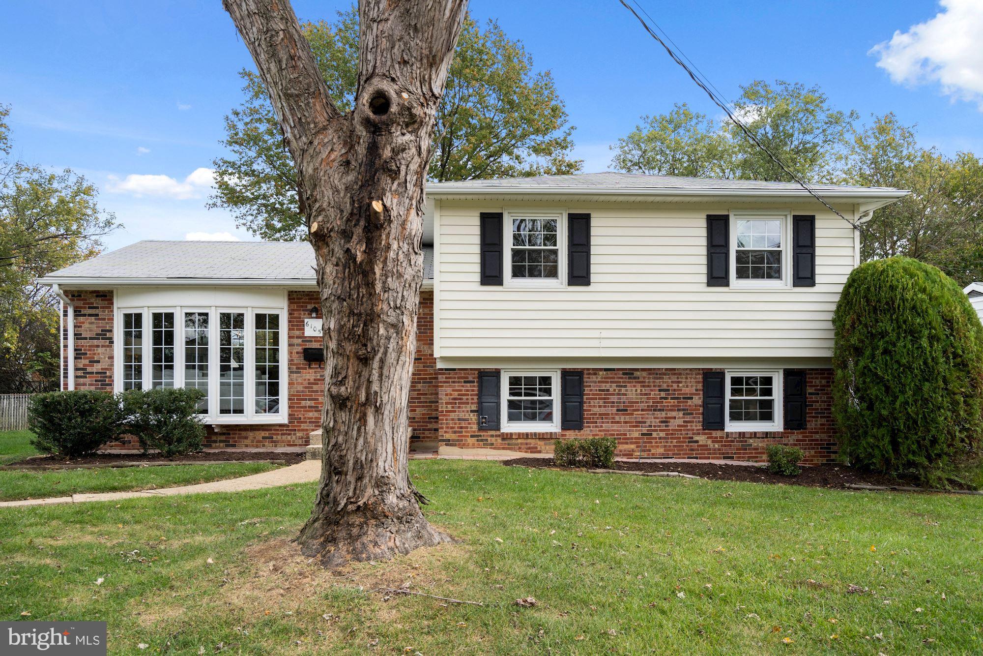 6105 Craft Road Alexandria, VA 22310 - Photo 3 of 44