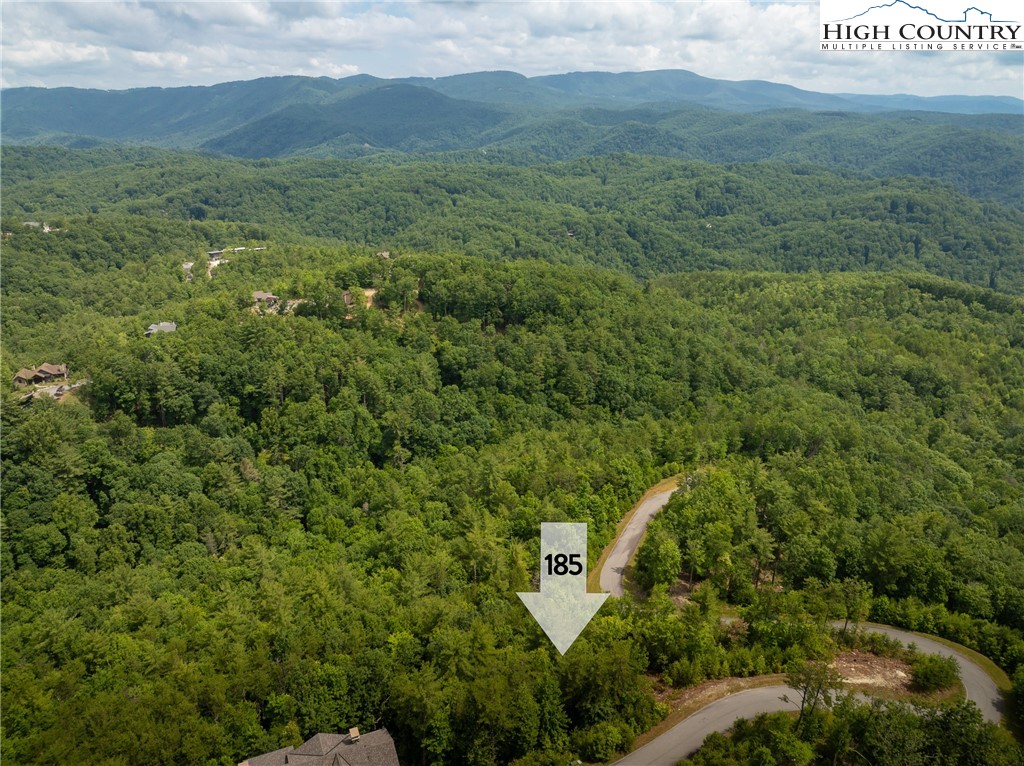 185 Marigold Road Boone, NC 28607 - Photo 8 of 50