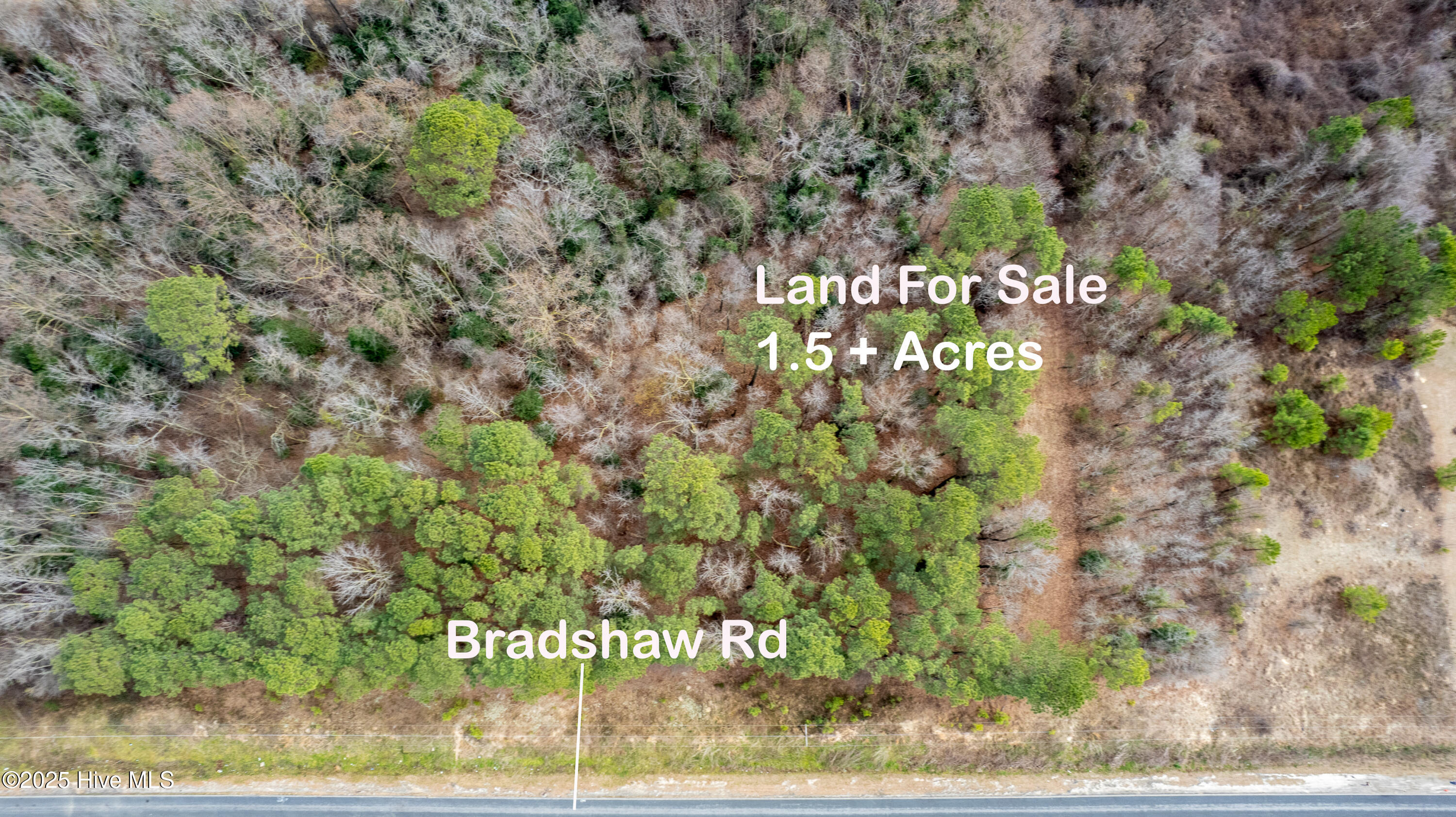 4616 Bradshaw Road Clinton, NC 28328 - Photo 4 of 7 Bradshaw land4