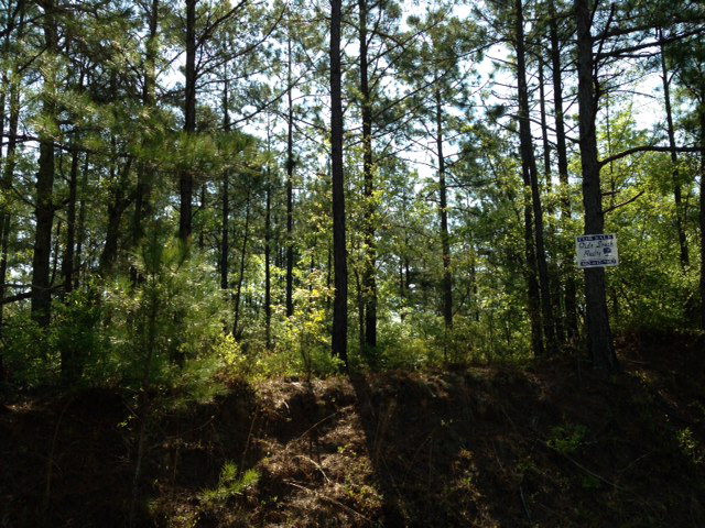 7 A Old Draft Road Williston, SC 29853 - Photo 1 of 1