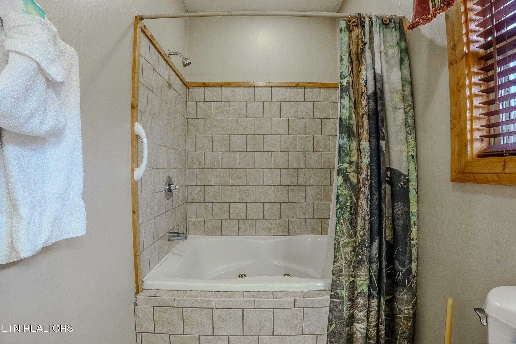 4170 Chamberlain Lane Sevierville, TN 37862 - Photo 19 of 53 17-web-or-mls-_DSC4816-HDR