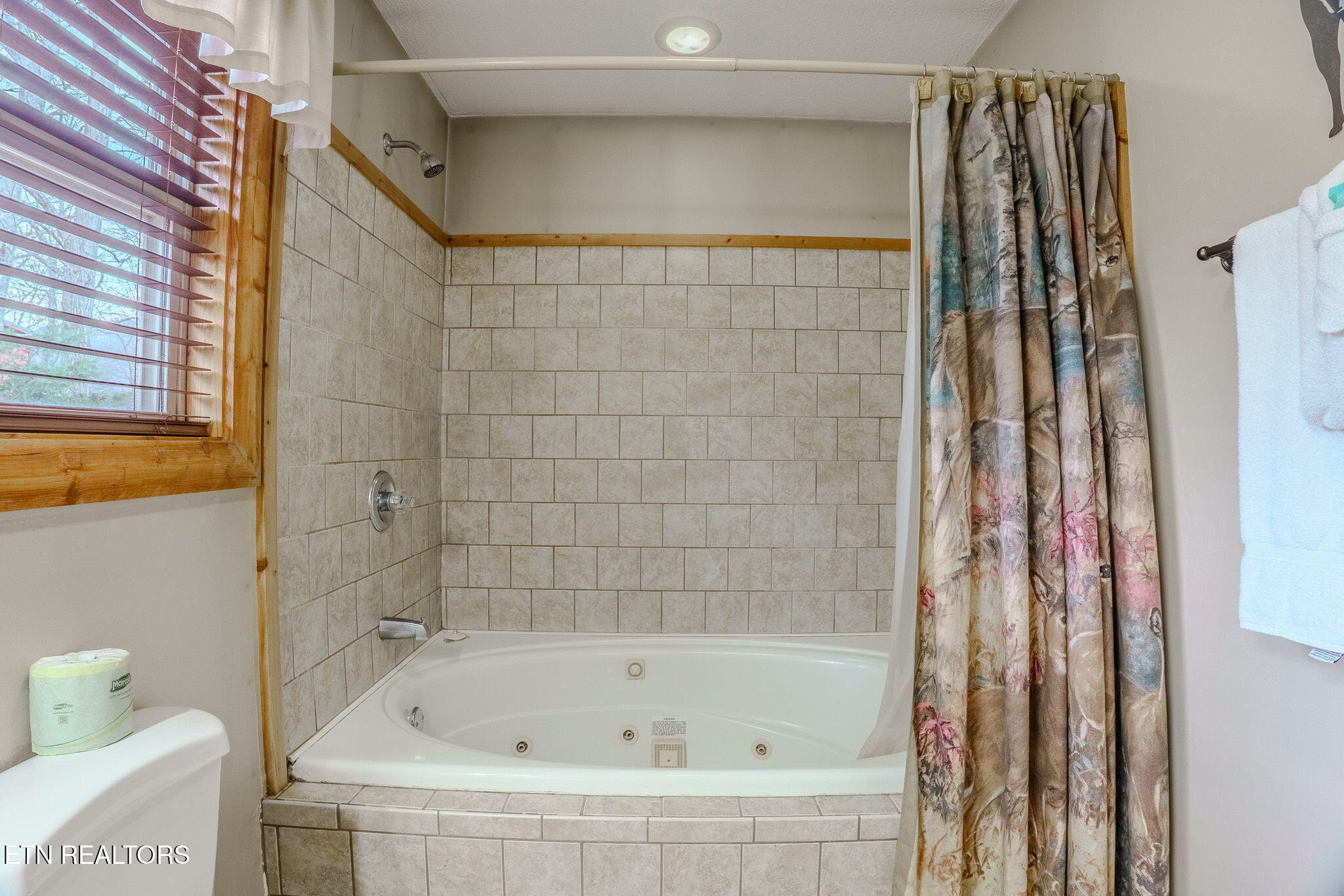 4170 Chamberlain Lane Sevierville, TN 37862 - Photo 34 of 53 32-web-or-mls-_DSC5201-HDR