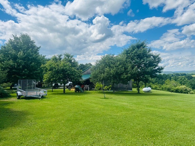31 Myslivecek Road Lowman, NY 14861 - Photo 31 of 50