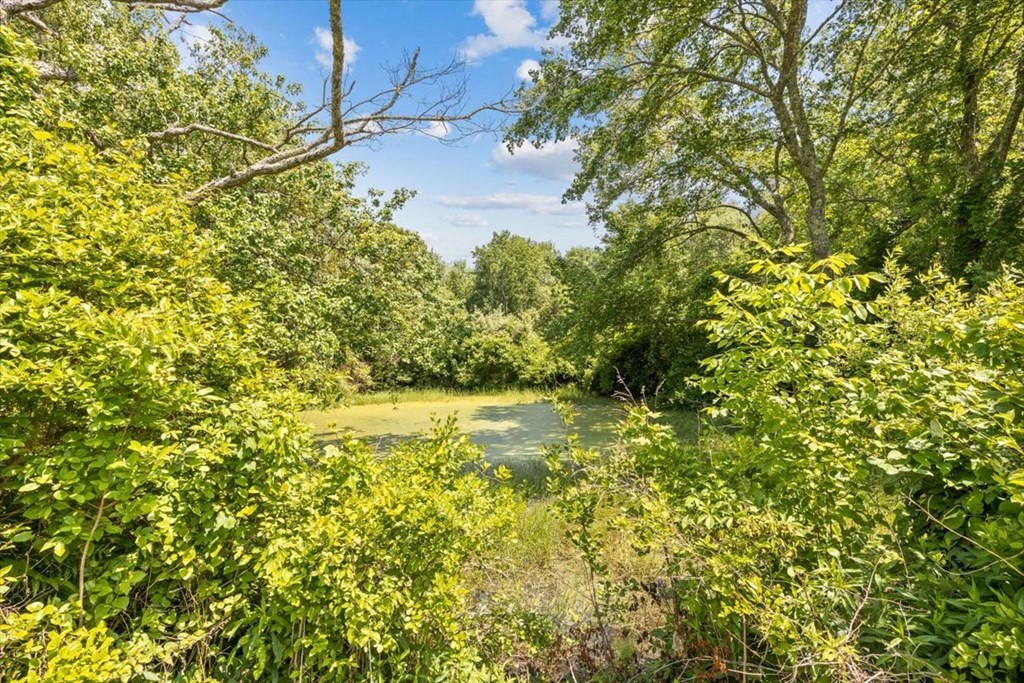 60 Marion Road Middleboro, MA 02346 - Photo 24 of 28 Gallery Image 24