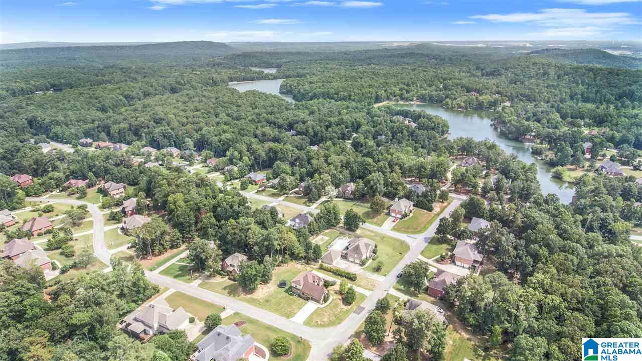 253 Thoroughbred Lane Alabaster, AL 35007 - Photo 37 of 38