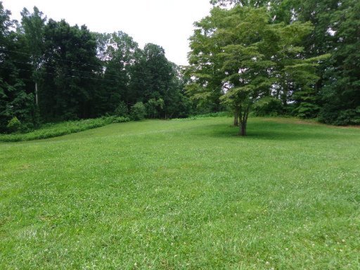 1421 Clevenger Road New Market, TN 37820 - Photo 35 of 40 Additional Photo
