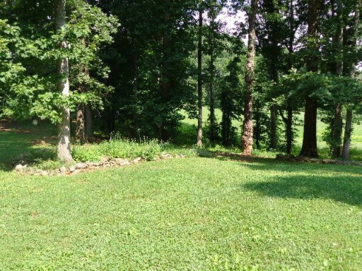 1421 Clevenger Road New Market, TN 37820 - Photo 36 of 40 Additional Photo