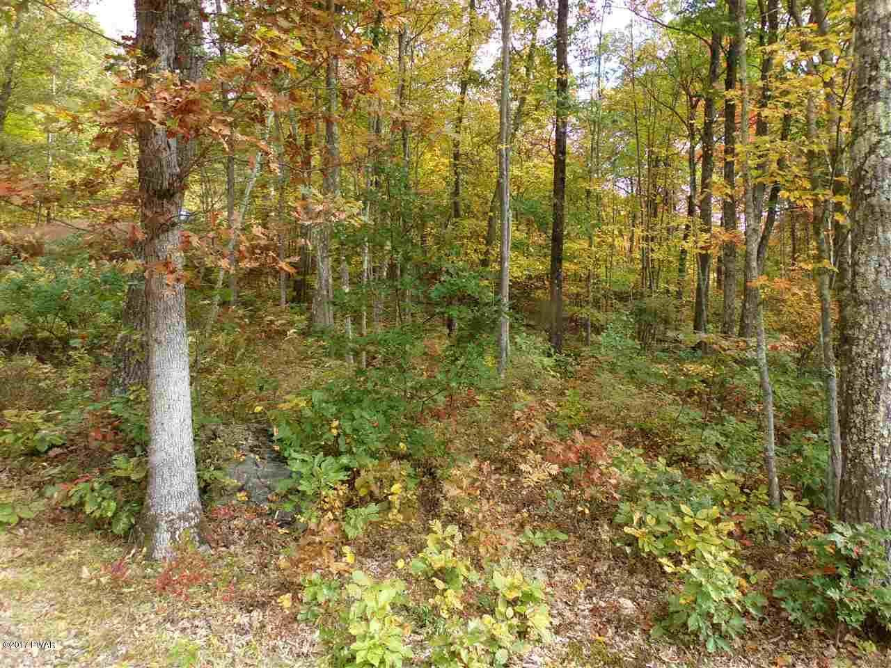 Lot 6.82 Lenni Lenape Road Narrowsburg, NY 12764 - Photo 12 of 17