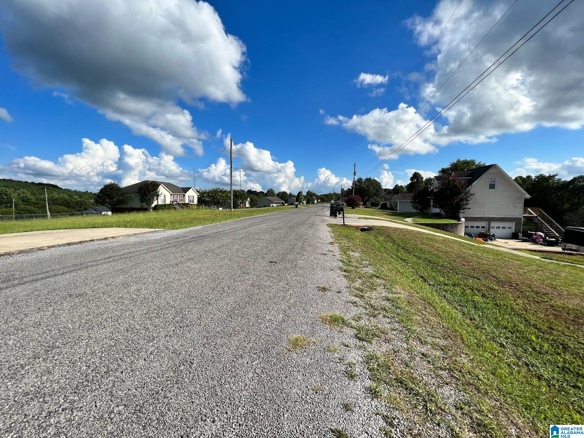250 Deer Crossing Road Warrior, AL 35180 - Photo 8 of 39