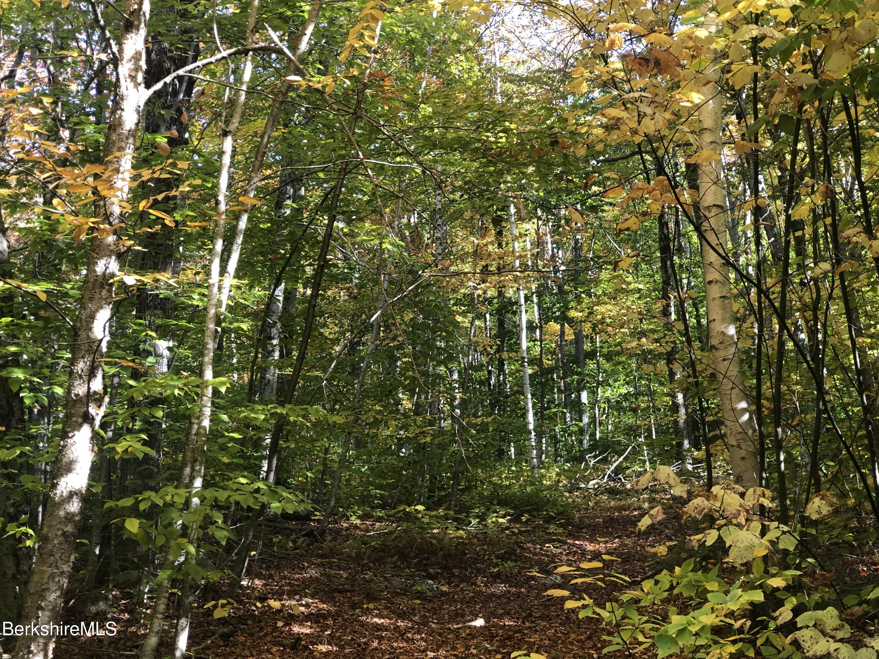 0 Andrea Drive Stamford, VT 05352 - Photo 3 of 5 a view of a yard