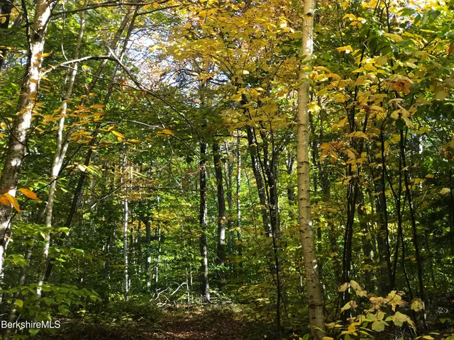 a view of a house with a tree