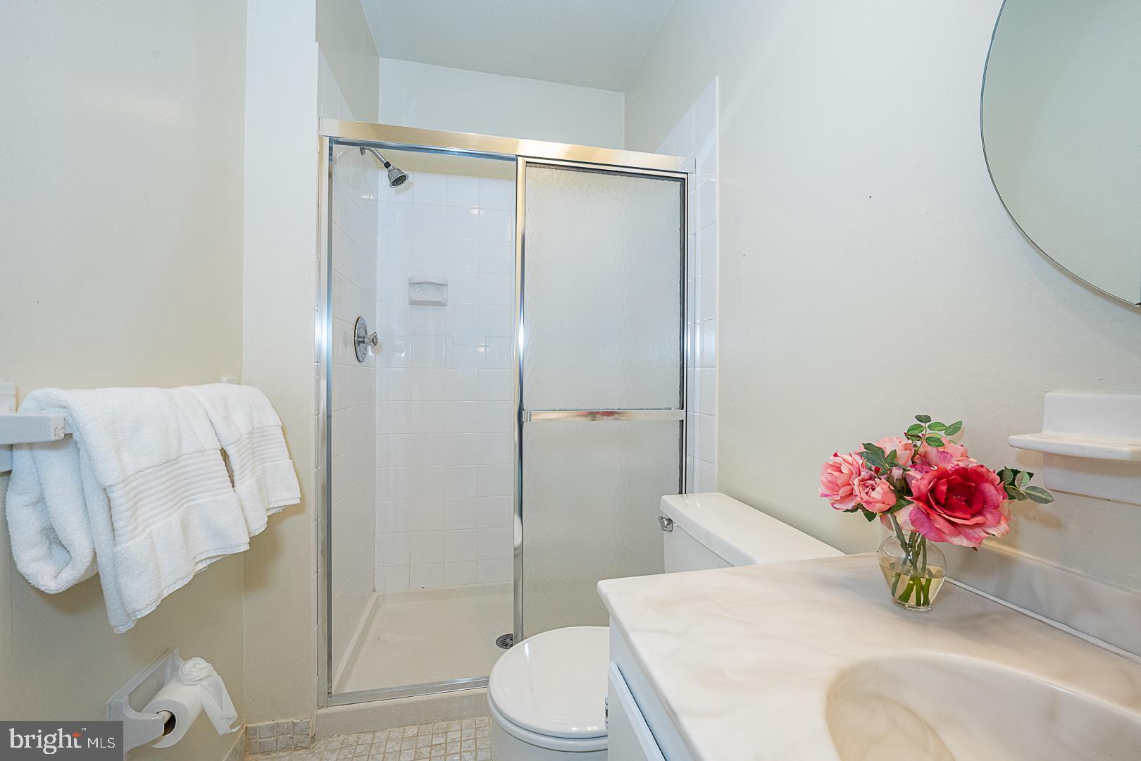 258 Old Forge Crossing Devon, PA 19333 - Photo 20 of 36 Primary bath