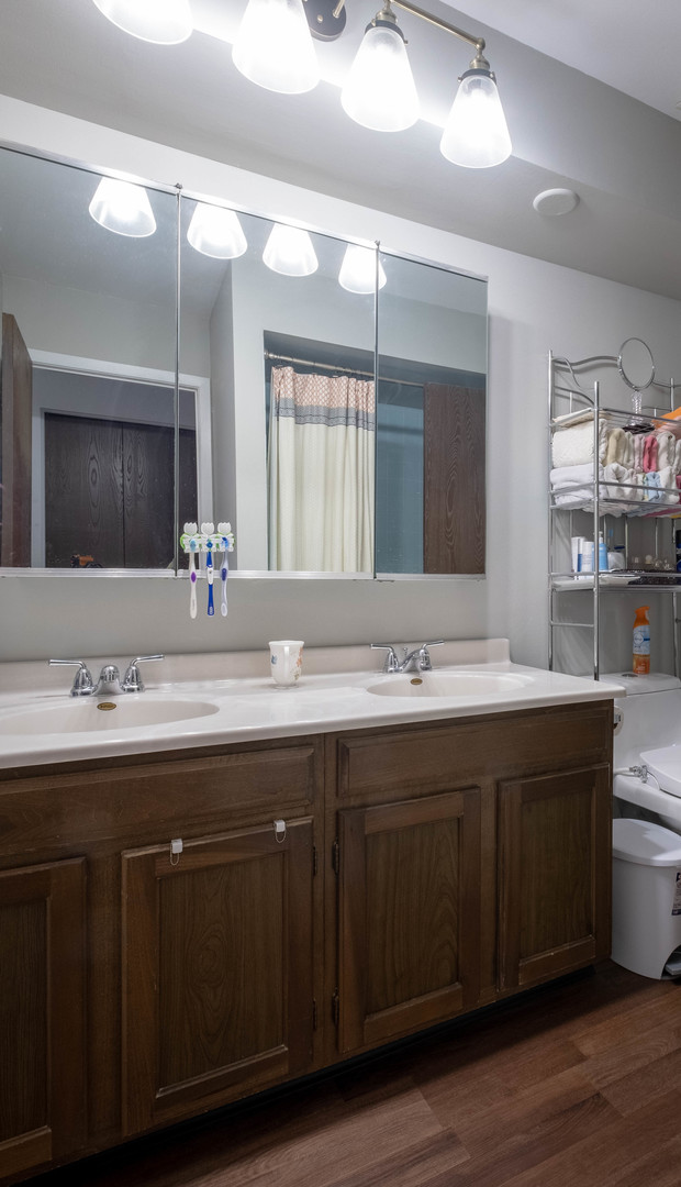 335 Shadow Bend Drive Wheeling, IL 60090 - Photo 10 of 21 a bathroom with a double vanity sink and a large mirror